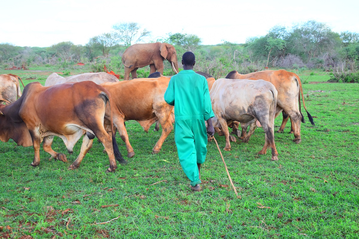 ttwca_kenya_about_us