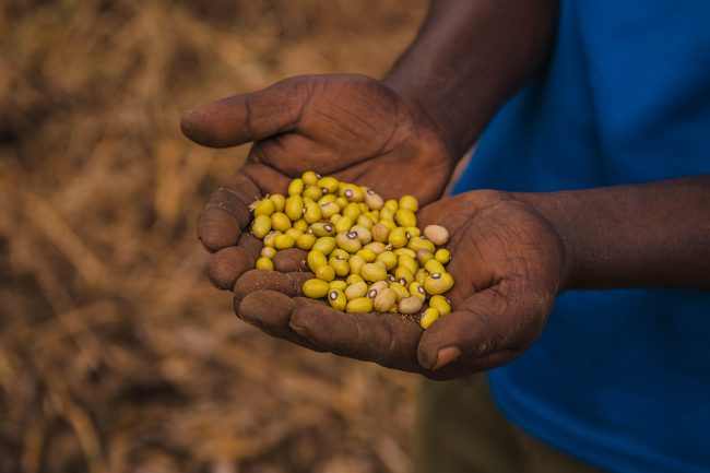 Njukini Framer showcasing his beans produce.