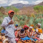 Sisal Demo Farm Visit and Learning