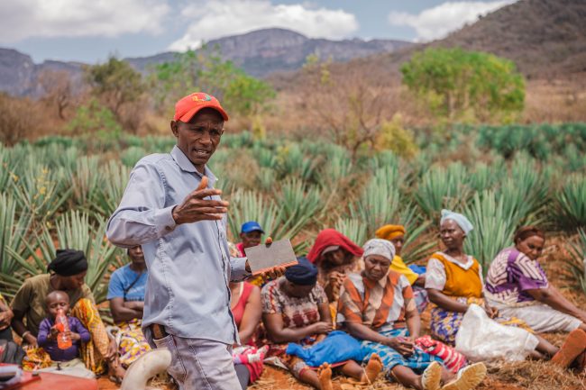 Sisal Demo Farm Visit and Learning