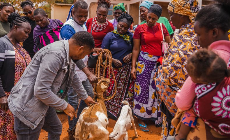 From VSLA’s to Sustainable Livelihoods