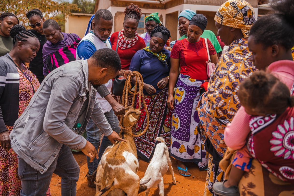 From VSLA’s to Sustainable Livelihoods