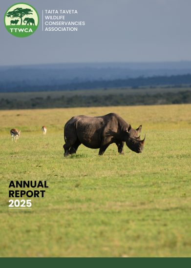 Annual Report_2025 2.jpg Annual Report_2025 2.jpg
