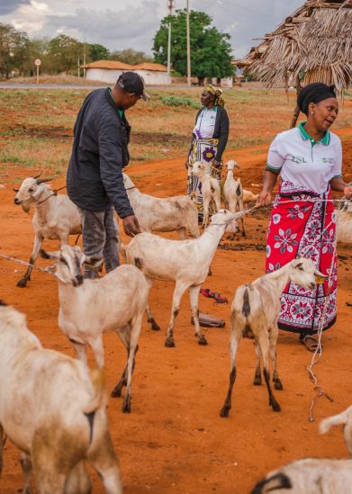 Goats Distribution-TTWCA-ZSL-2 Goats Distribution-TTWCA-ZSL-2